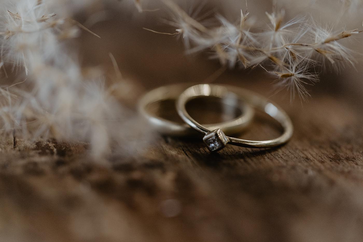 Goldcircus Studio | Eheringe & Brautschmuck
