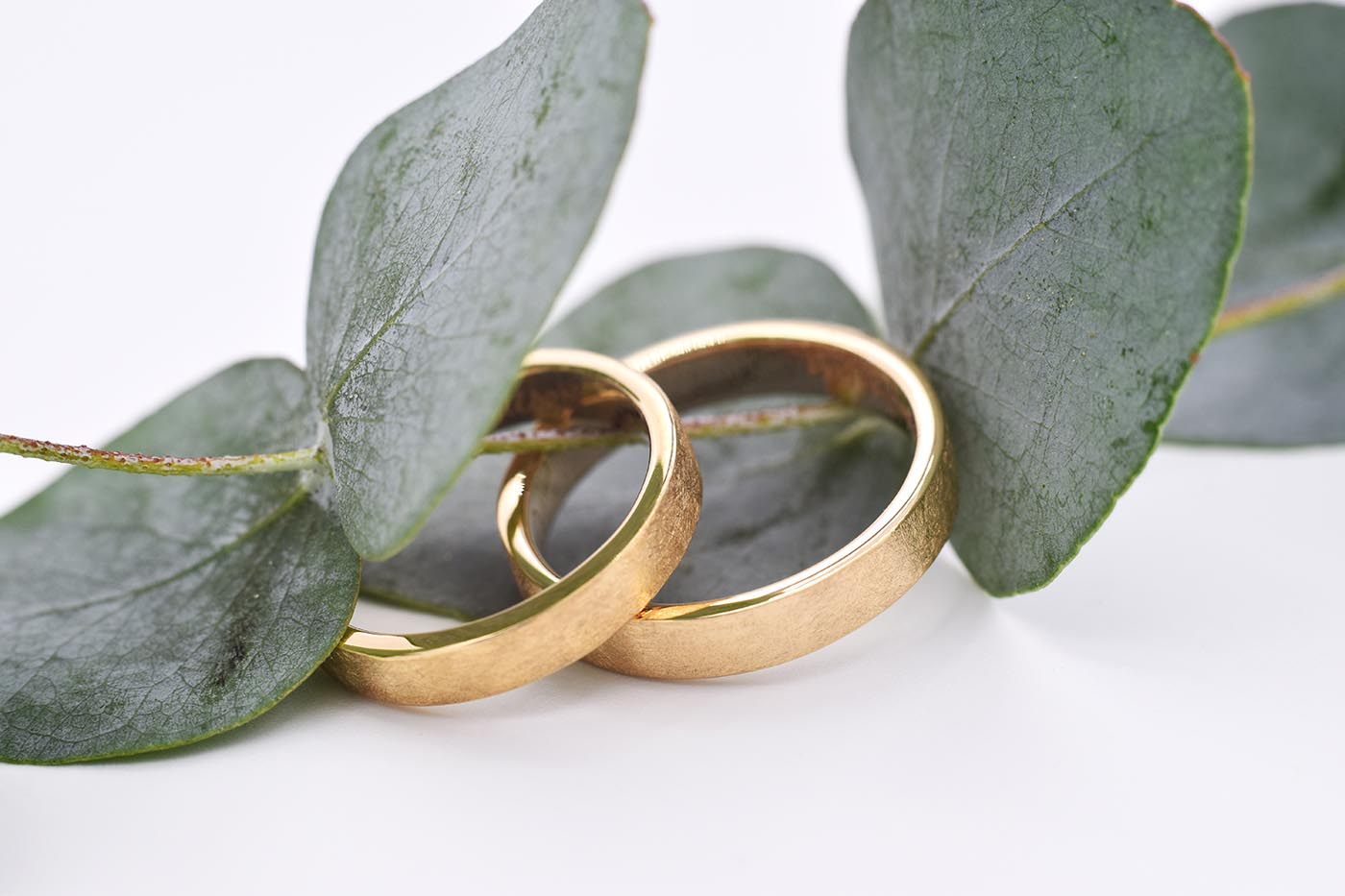 Goldcircus Studio | Eheringe & Brautschmuck