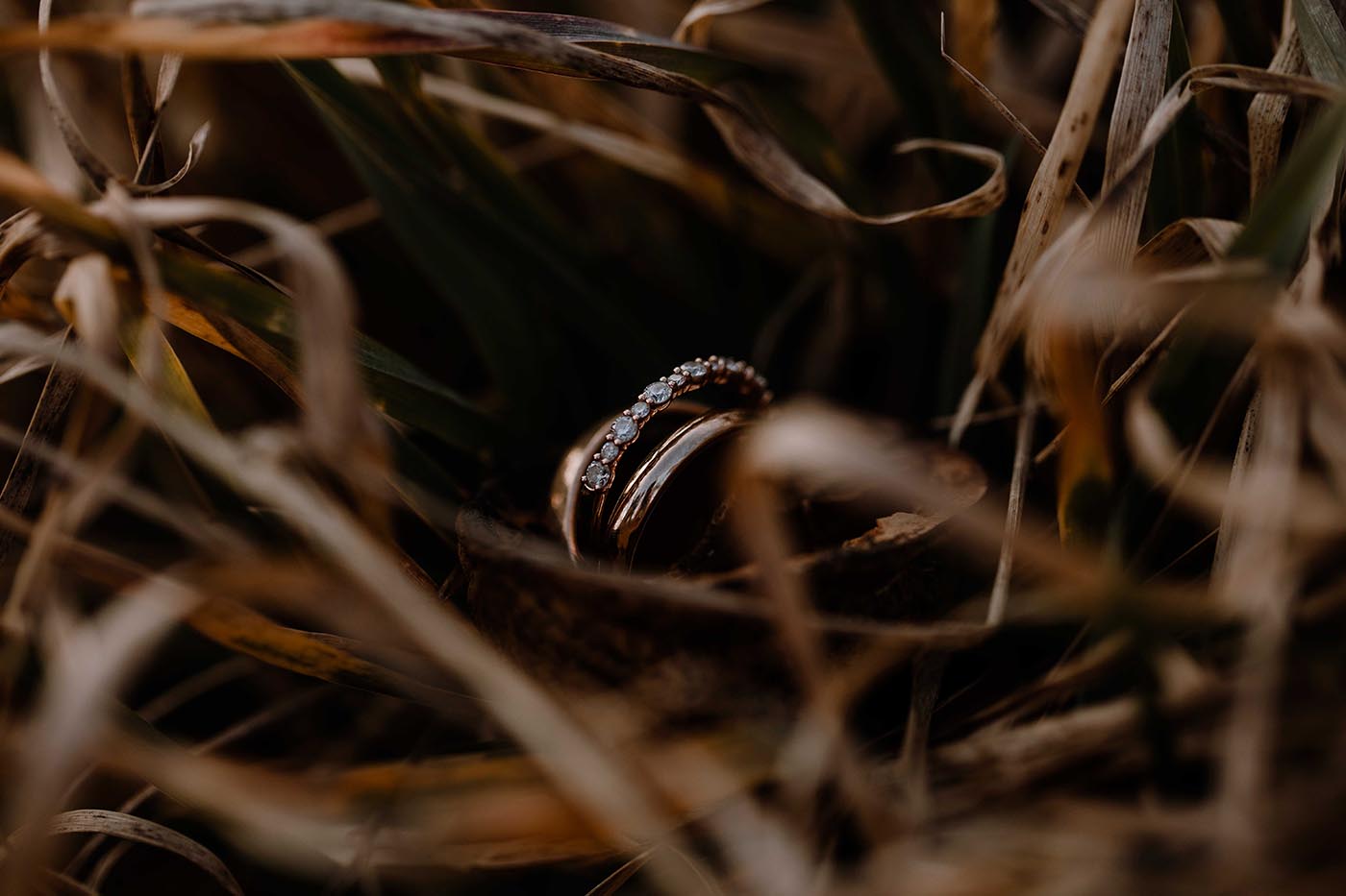 Hochzeitsfotograf "Mr. Right Wedding Photography"