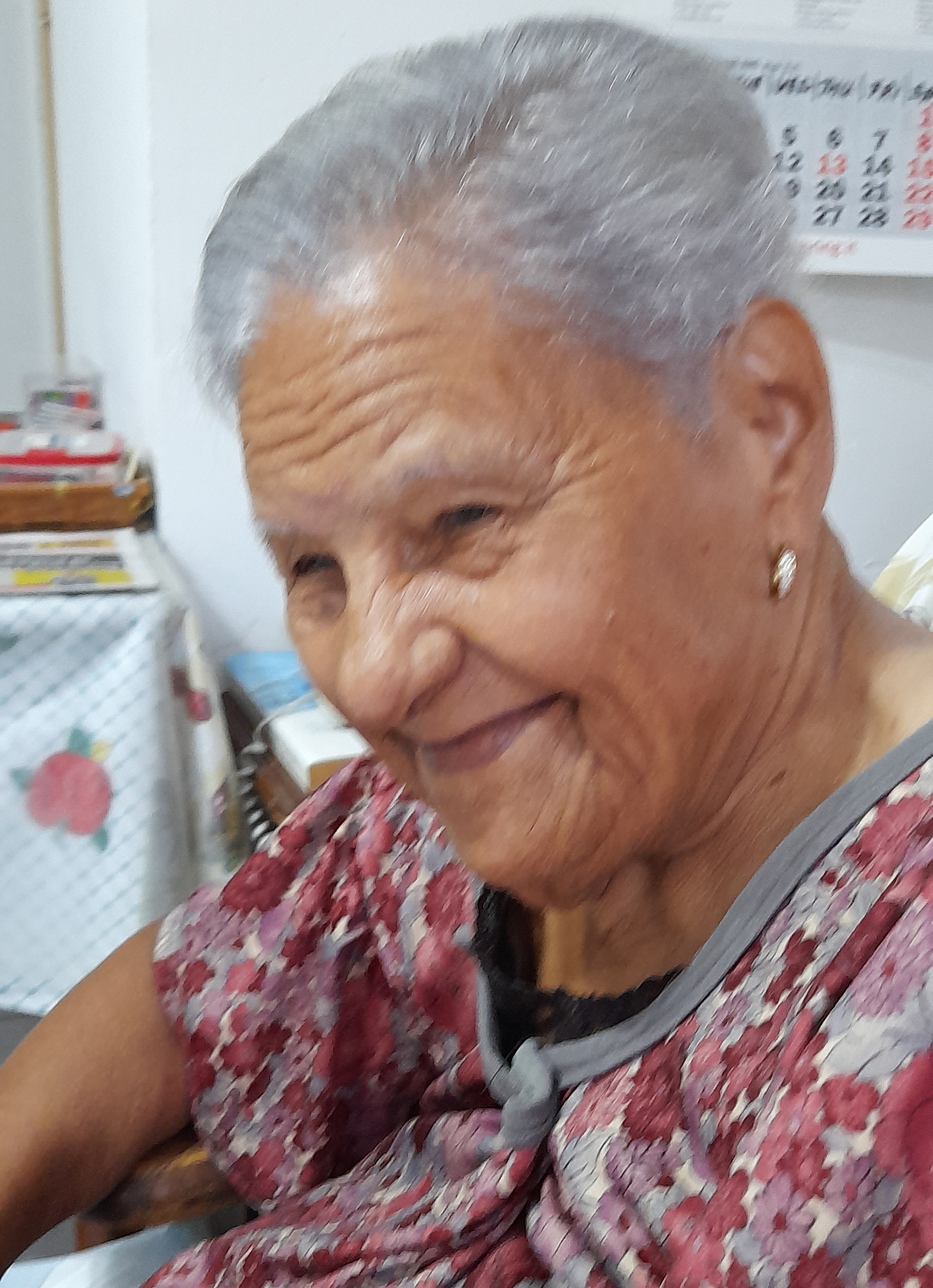 Aida Asiciel Leer-Dorsiel