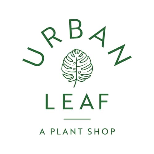 Urban Leaf Maine Open Online