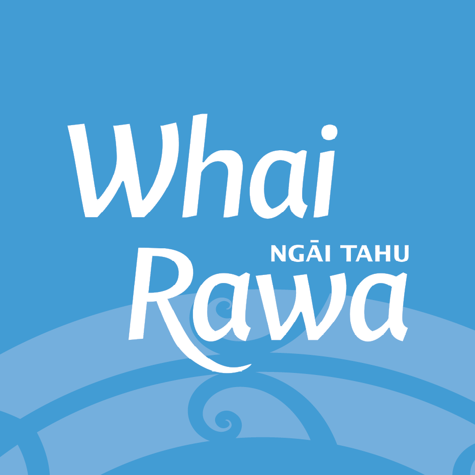 Organisation logo