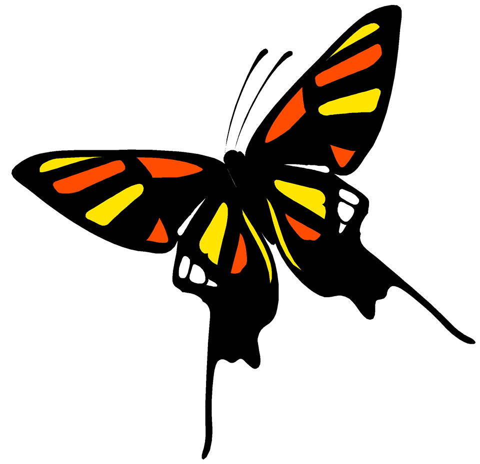 Organisation logo