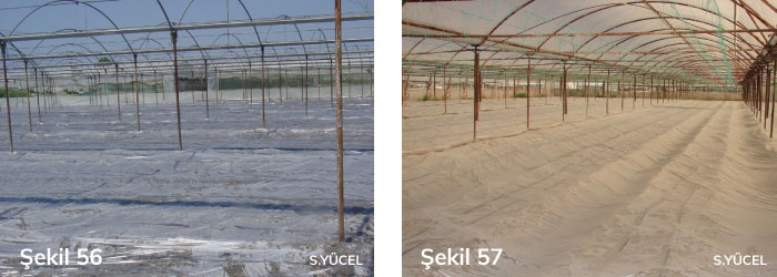 Serada solarizasyon uygulaması