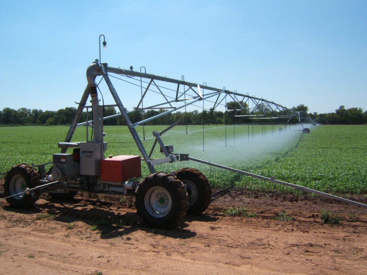 Lineer Pivot