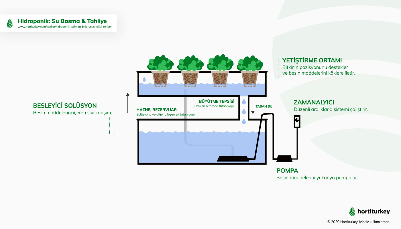 Hidroponik üretimde, Su Basma & Tahliye Etme Sistemi (Flood and Drain)