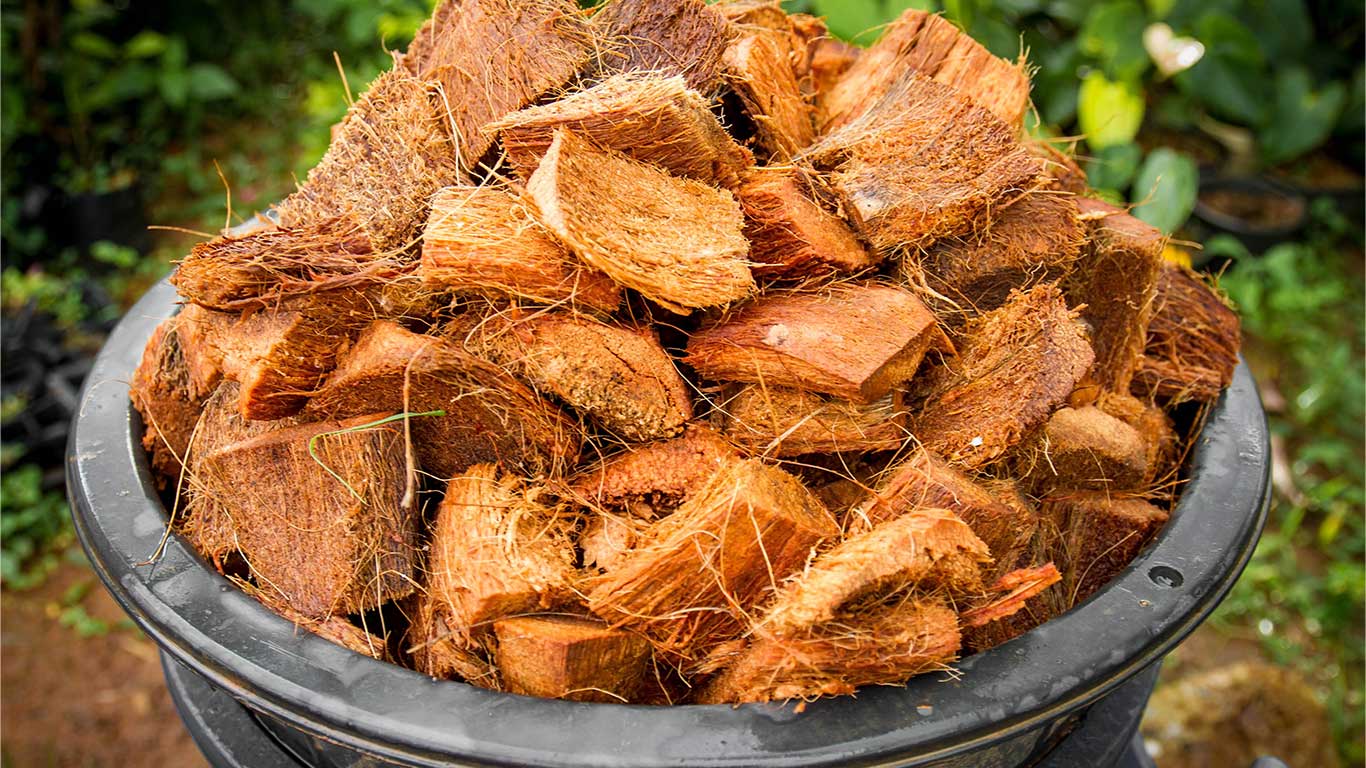 Kokopit (Cocopeat).