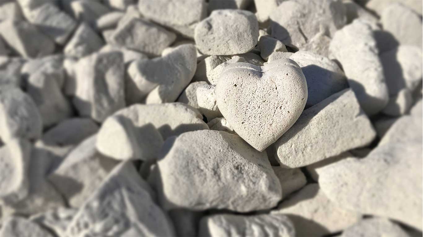 hidroponikte kullanılan Growstones