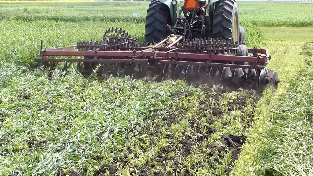 Yeşil gübre hazırlanması.