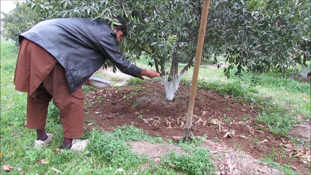 Bir gübreleme kesiti.