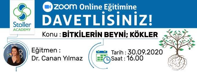 Dr. Canan YILMAZ