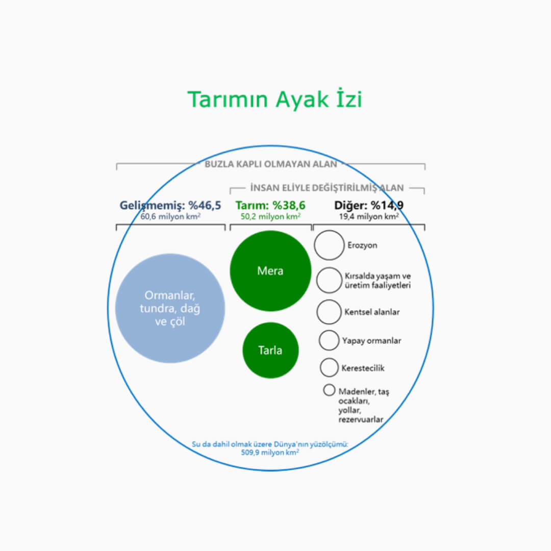 Tarımın dünyadaki ayak izi.