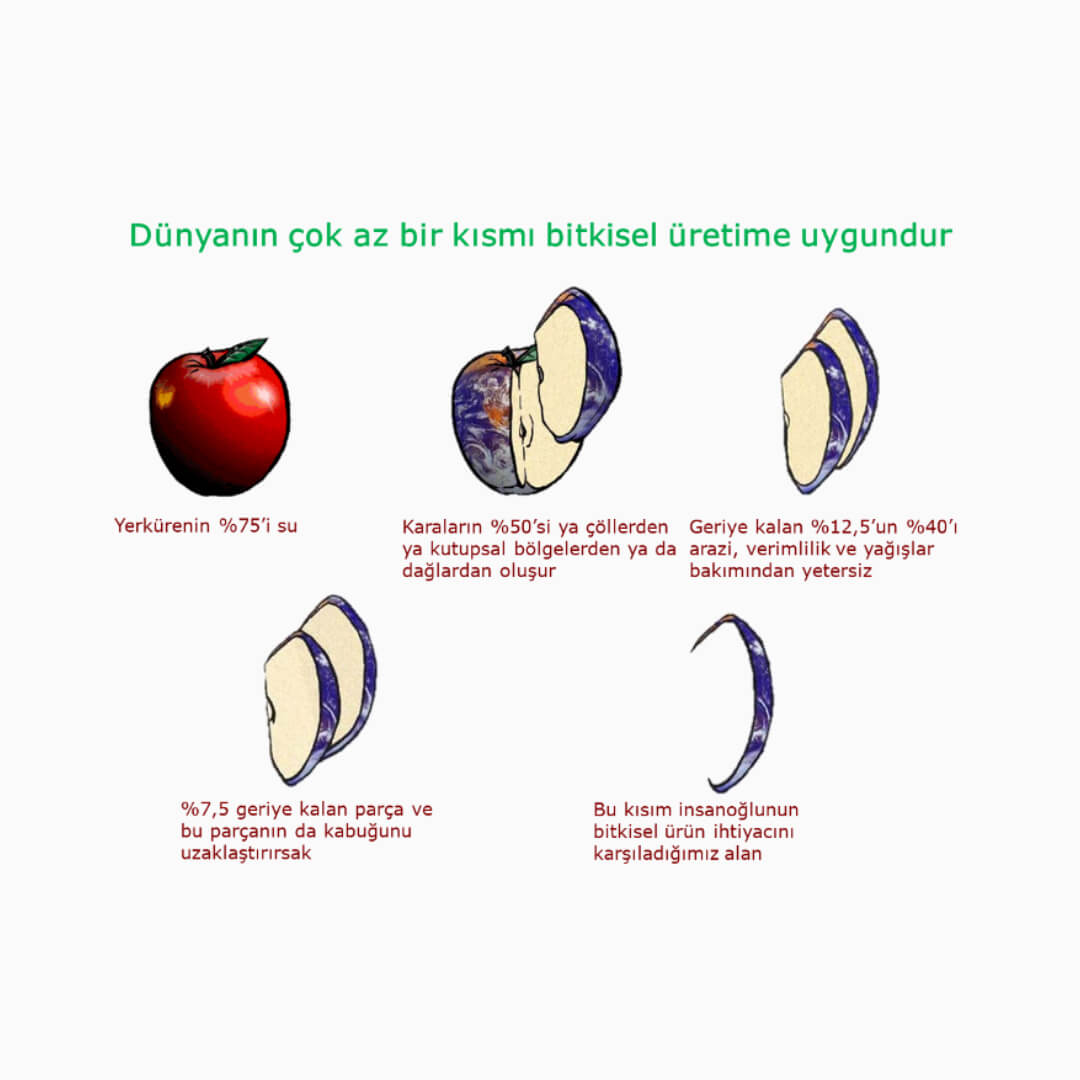 Dünyanın bitkisel üretime elverişli arazileri hakkında elma şekli üzerinden bir görselleştirme.