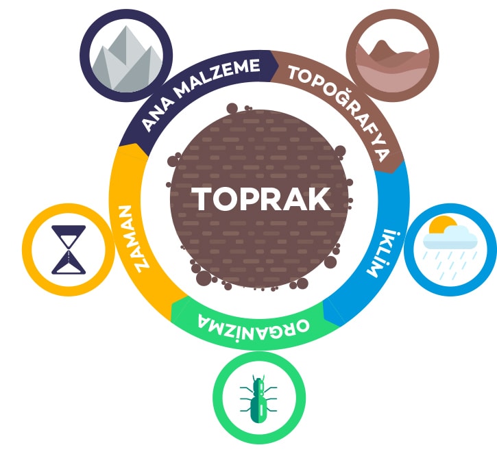 Toprak Nasıl Oluşur?
