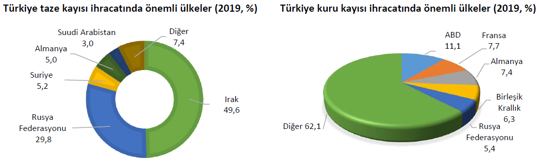 Taze ve kuru kayısı ihracatı yaptığımız ülkeler