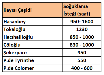 Çeşitlerine göre kayısıların soğuklanma süreleri