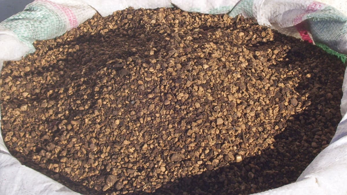 Pirina