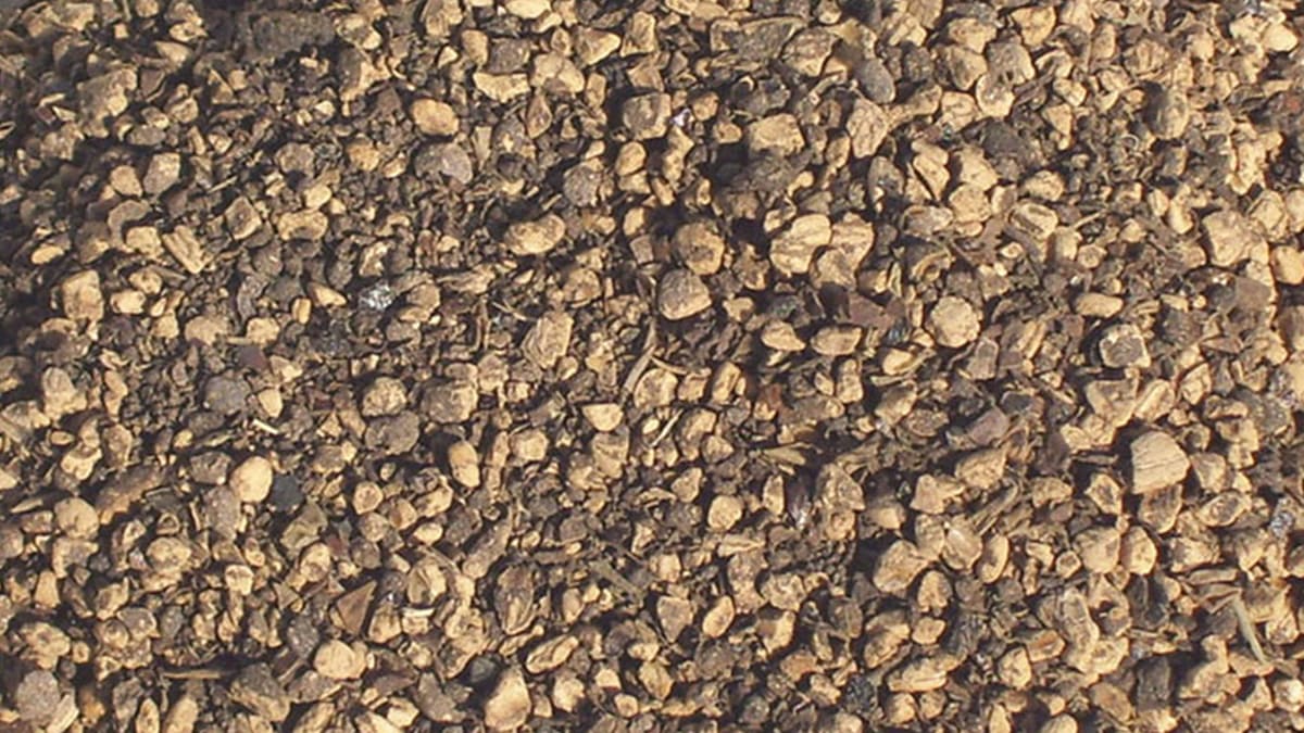 Pirina