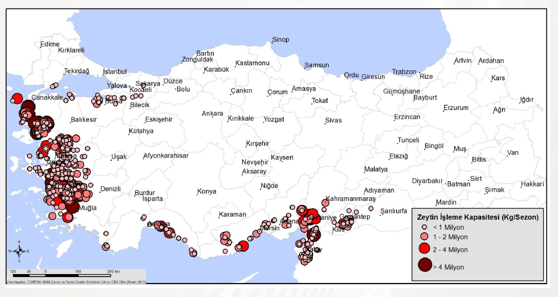 Ülkemizdeki zeytin işleme tesisleri ve kapasitesi