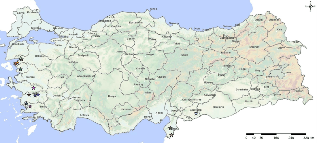 Ülkemizde pirina işleme tesislerinin dağılımı