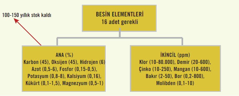 Bitki besin elementleri ve bitkide bulunma düzeyleri