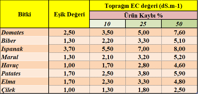 Topraktaki tuzluluğun, bitki gelişimi ve verimindeki kayıpları