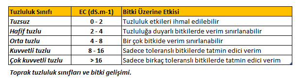 Toprak tuzluluk sınıfları ve bitki gelişimi