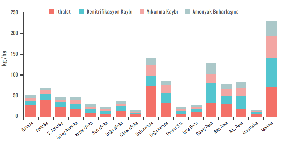 Azotlu gübrelerin bölgesel ortalama ihracatı ve kayıp yolları