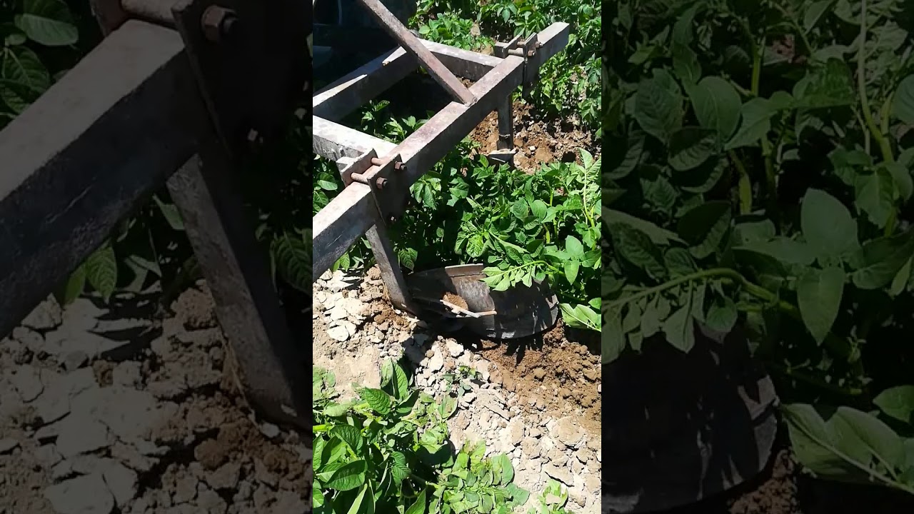 Boğaz doldurma