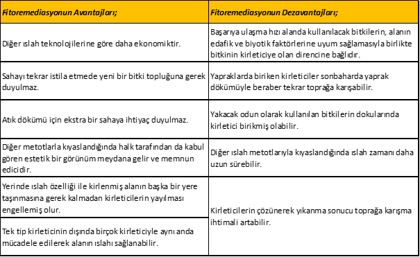 Fitoremediasyonun avantajları, dezavantajları