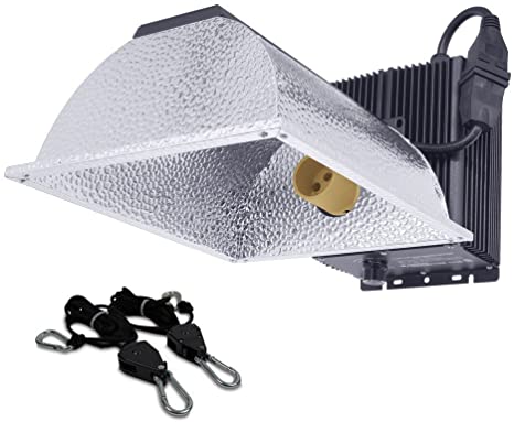 Metal halide