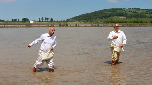Serpme ekim