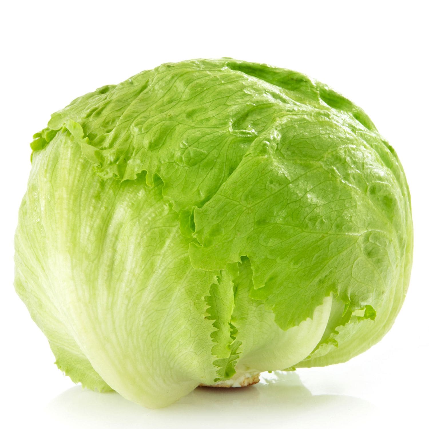 Iceberg