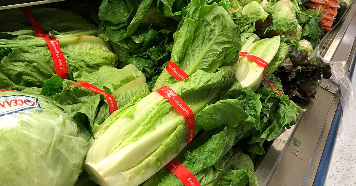 Market raflarındaki marul