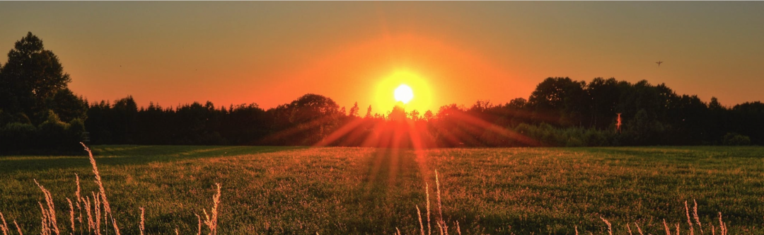 Solarenergie - Sonne geht am Horizont über Bäumen und Wiese unter