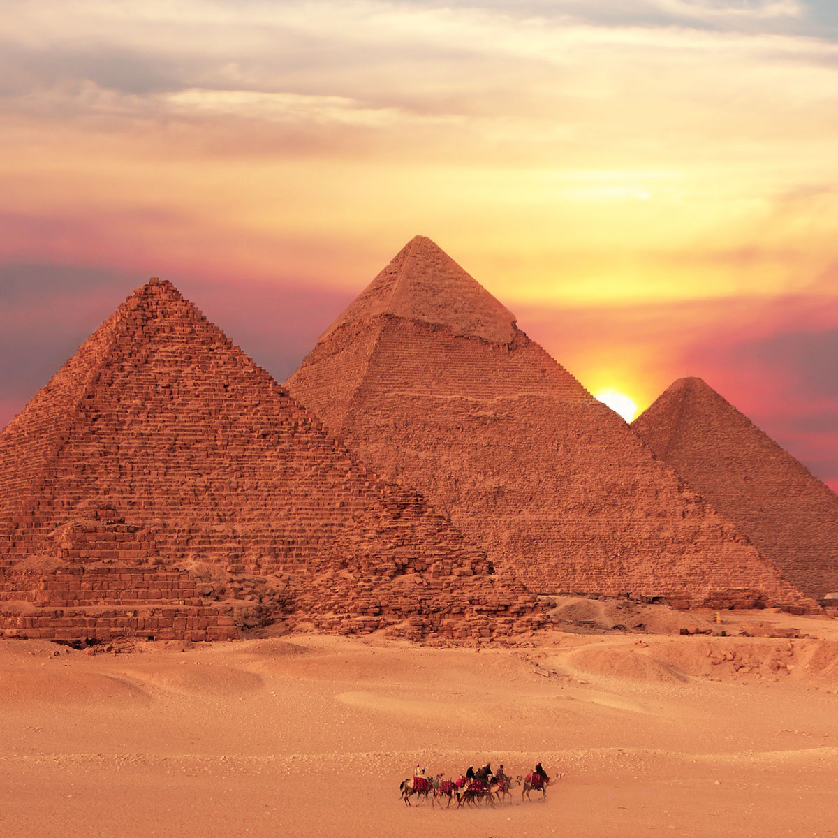 North Africa & Arabia