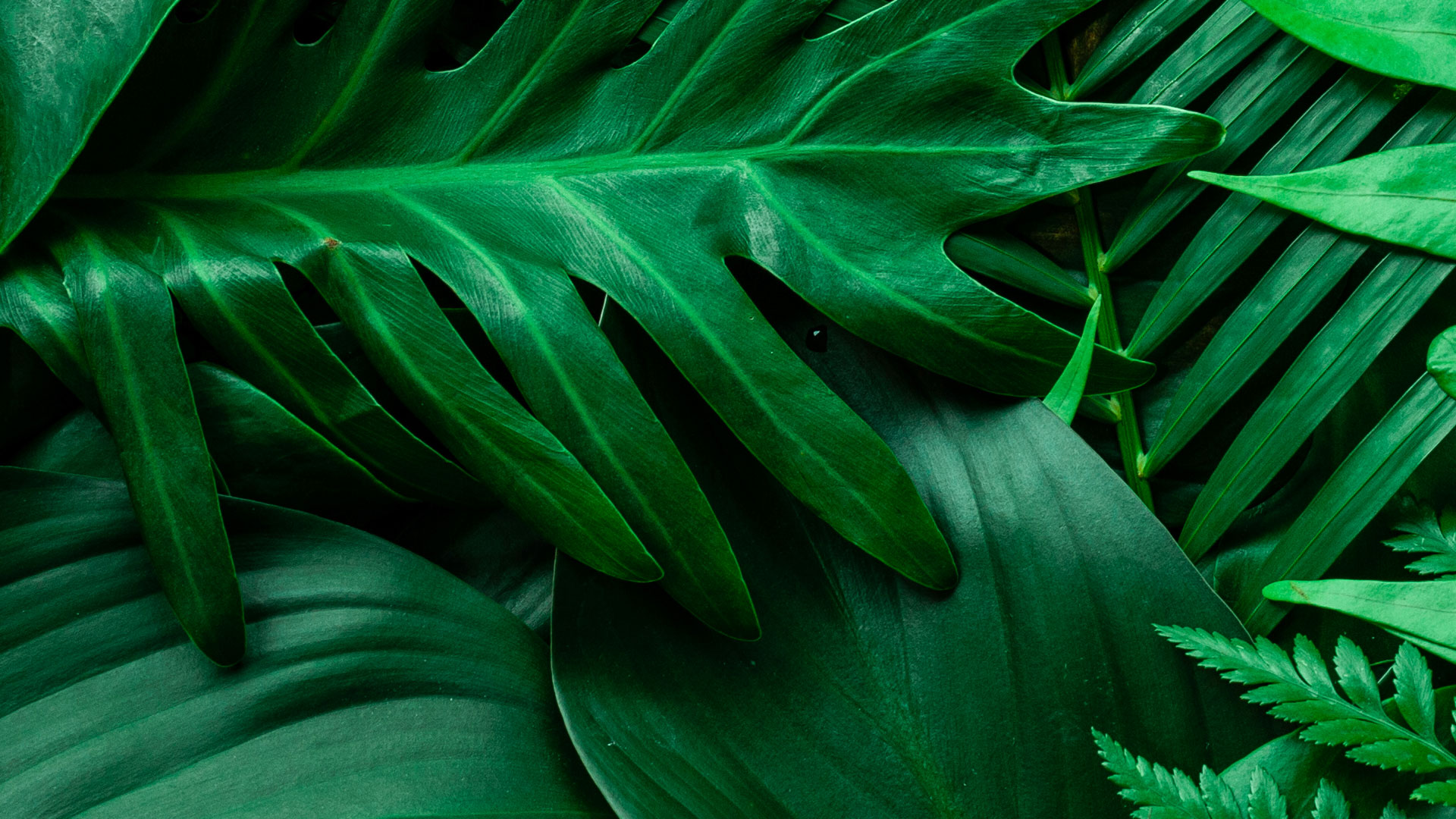 Triangle Premium Alternative Inks Eco Solvent Inks