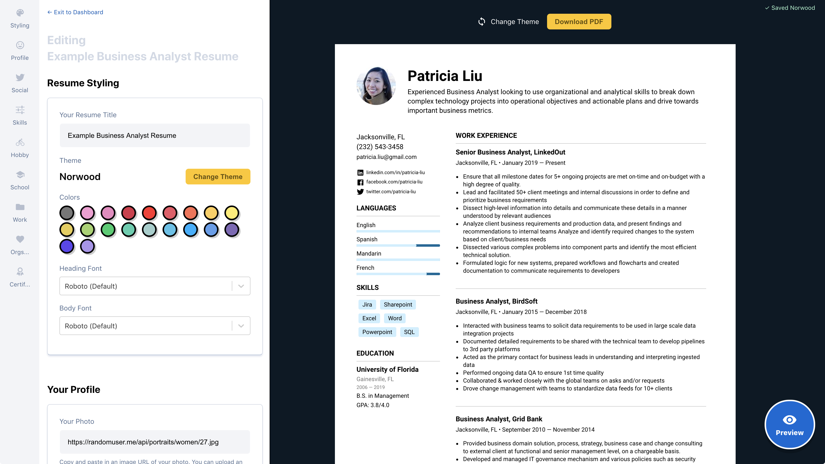 Professional Resume Builder Easy Resume