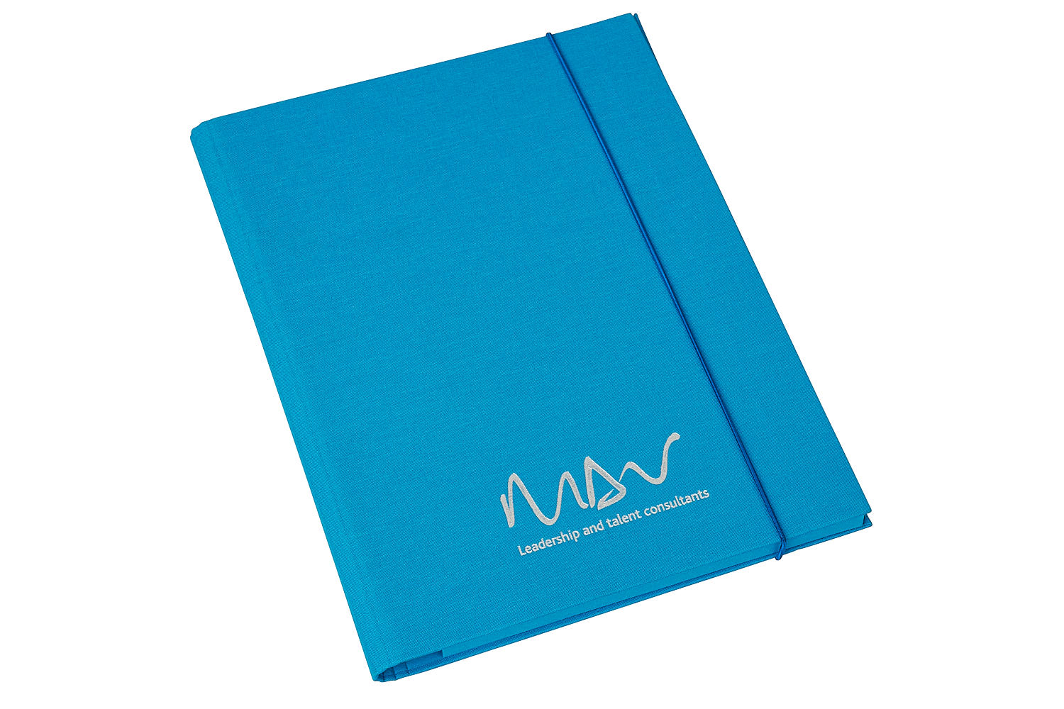 MDV Consulting