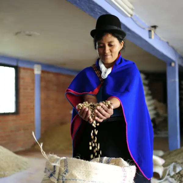 The True Coffee Costs From Farms to Your Cup