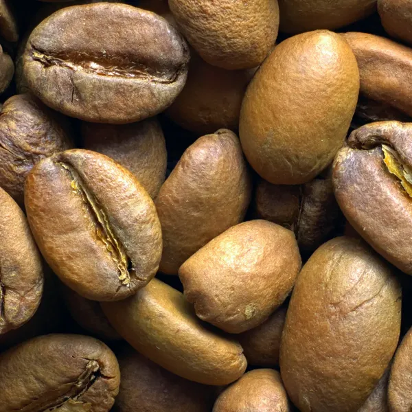 7 Best Light Roast Coffee Illuminating Your Coffee Experience