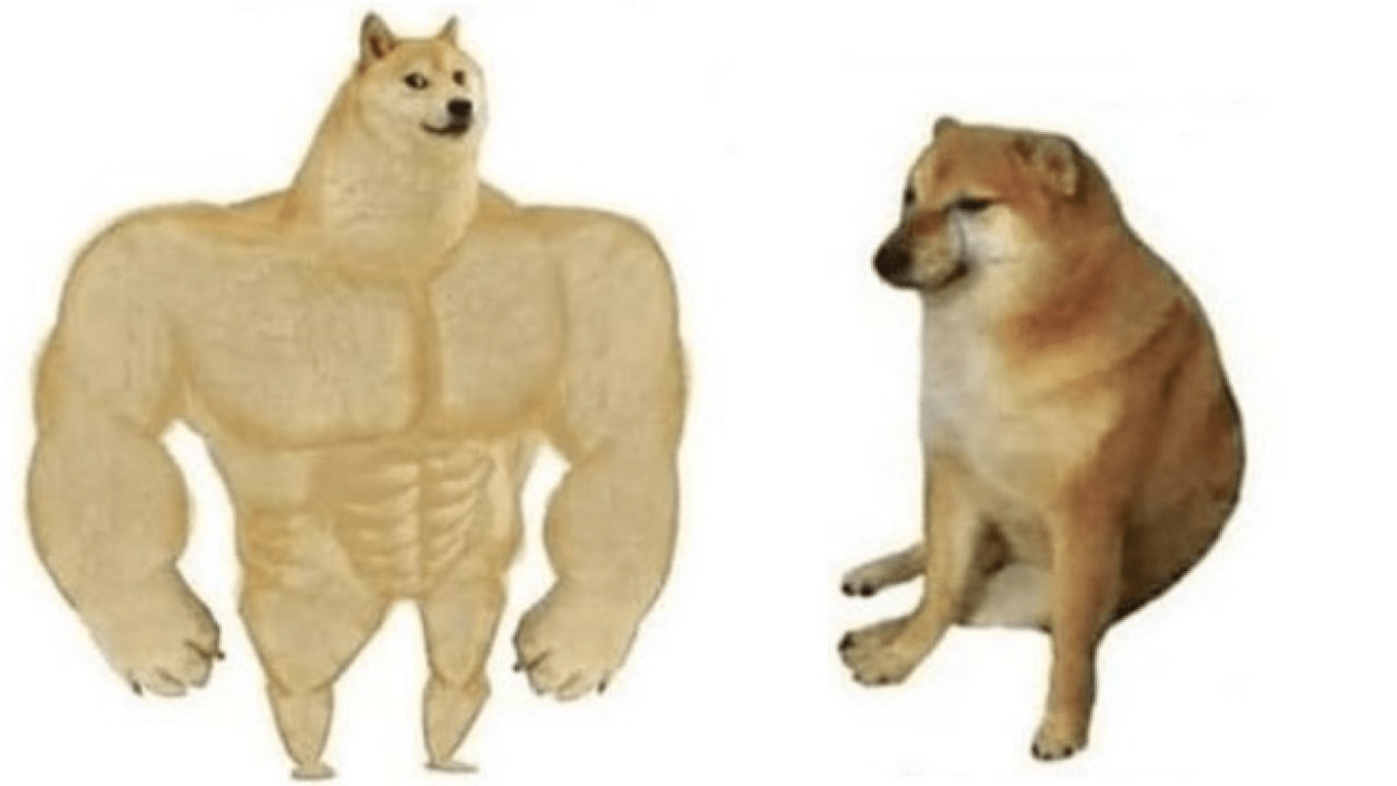 Meme perros shiba inu