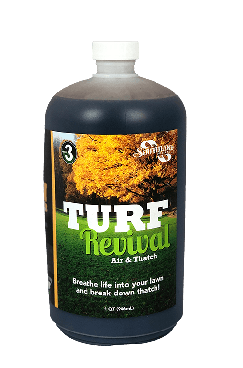 Revival Refill Quart