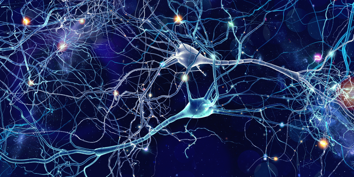 Spotlight: Biological Computing with Cortical Labs