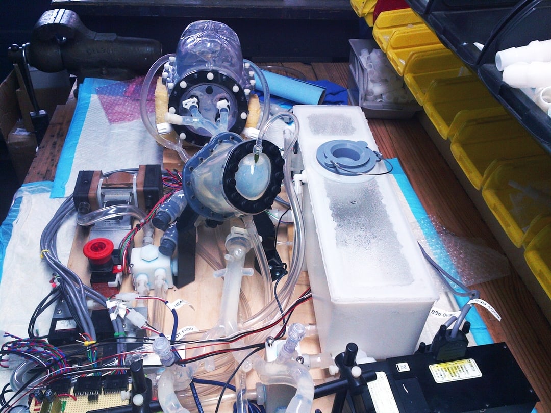 Replication in quantitative research example image