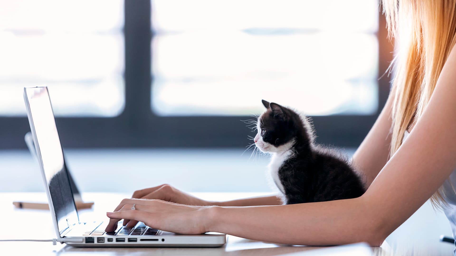 Pet-friendly offices are here to stay