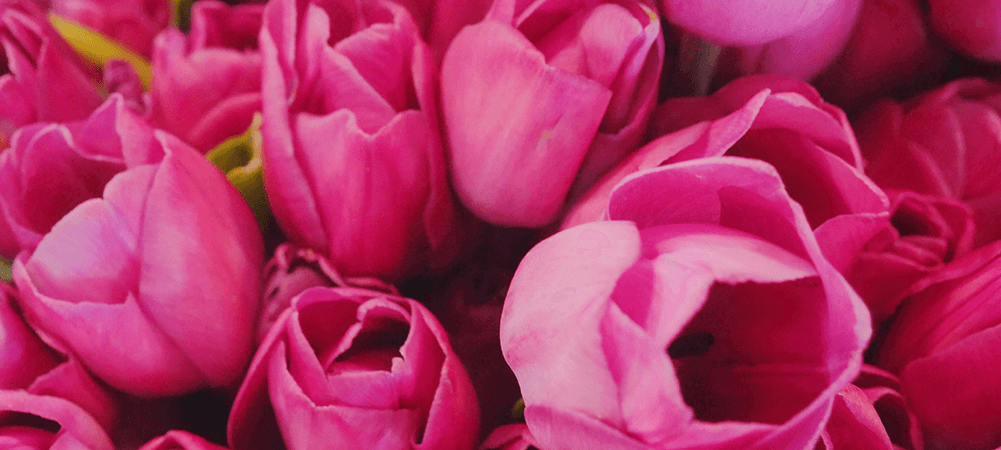 Bright Spring Colours