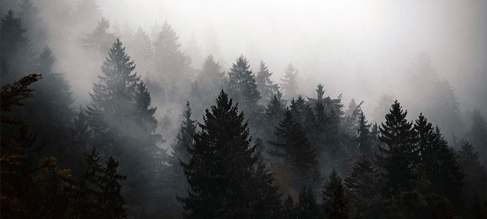 Dark Winter Colours