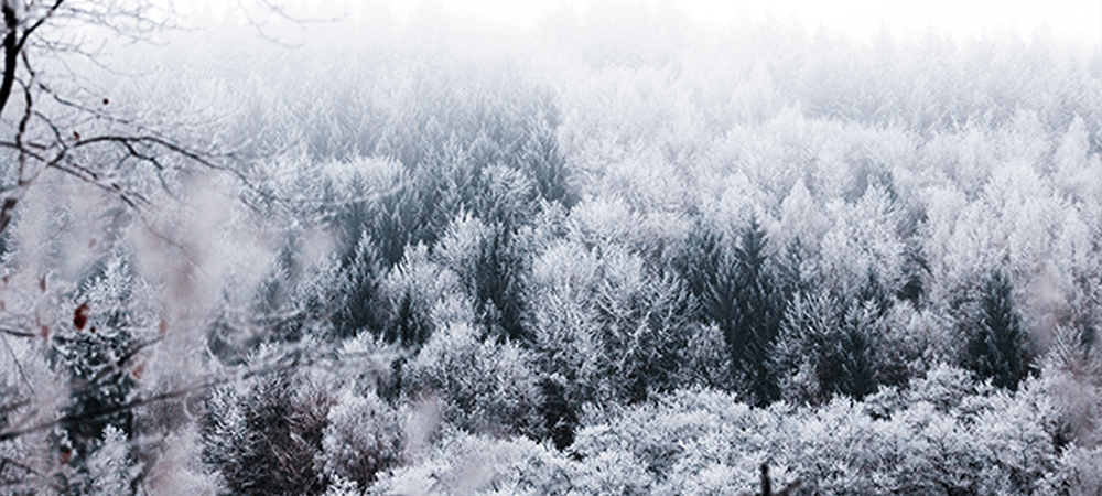 True Winter Colours