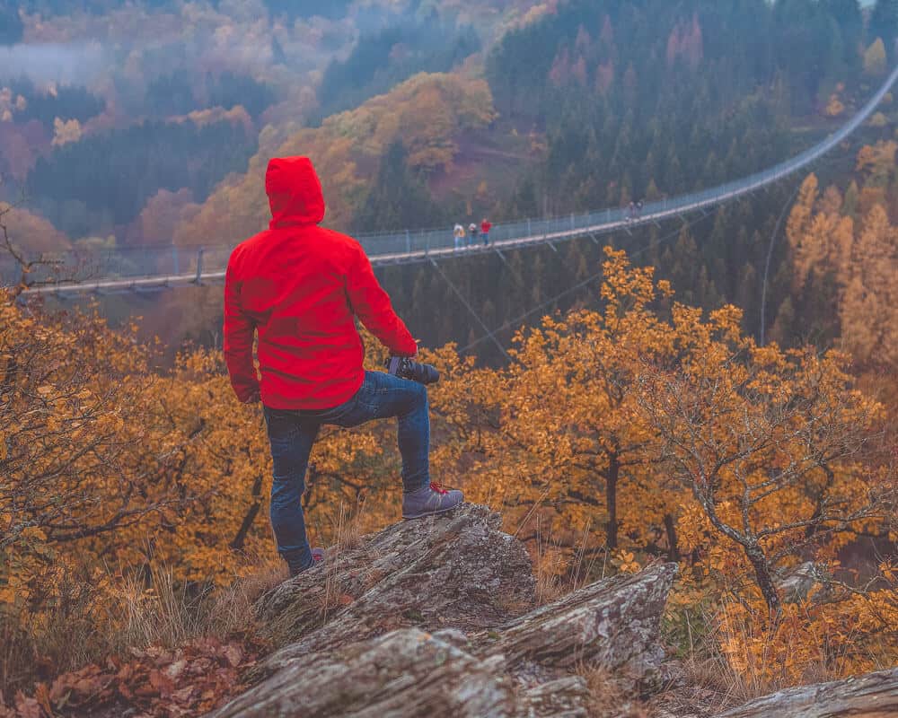 Man overlooking bridge in forest